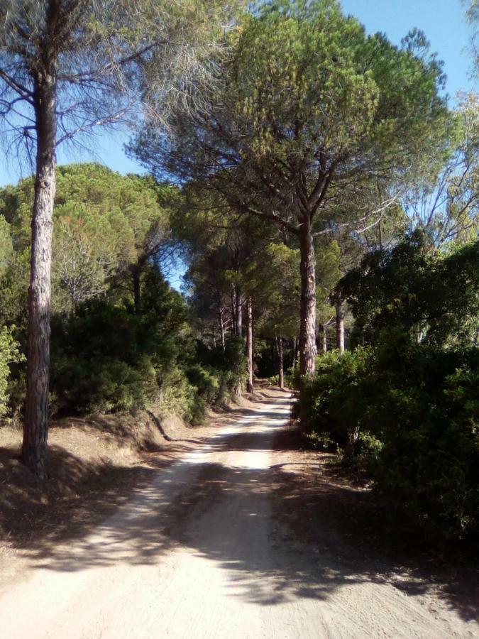 סיניסקולה Appartamento Vacanze Sardegna מראה חיצוני תמונה