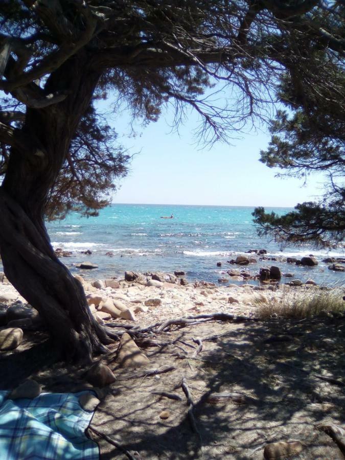 סיניסקולה Appartamento Vacanze Sardegna מראה חיצוני תמונה